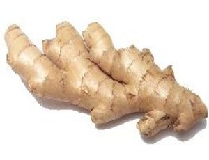 Herbal Medicine Picture: Ginger Root - Luyang Dialo (Zingiber officinale)