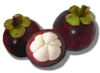 Mangosteen Fruit Photo