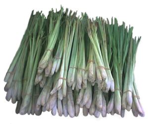 Tanglad or Lemon Grass