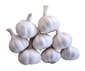 Picture of Garlic / Bawang (Allium Sativum) used as Herbal Medicine