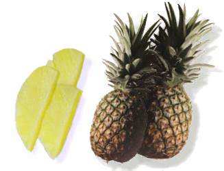 Pineapple Fruit