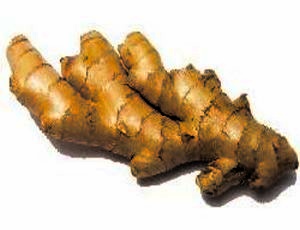 Tumeric - Luyang Dialo (Zingiber officinale)